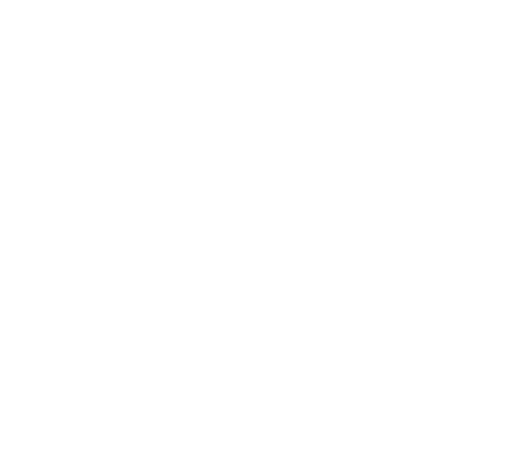 Biesse Paysage | Votre jardin autrement