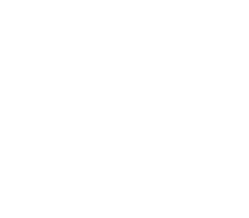 Biesse Paysage | Votre jardin autrement